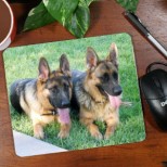 YOUR Shepherd Mousepad (WITH YOUR DOGS PHOTO)