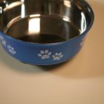 HEAVY DUTY NON SKID BOWL – STAINLESS STEEL/BLUE