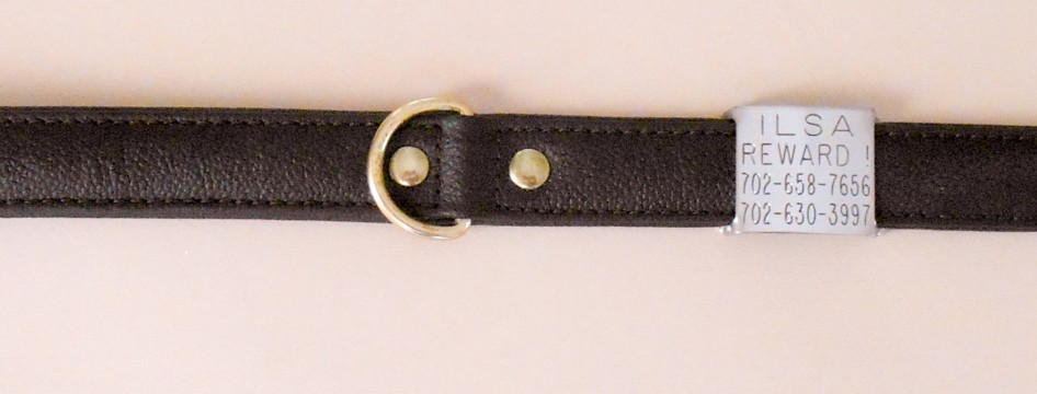 PADDED LEATHER COLLAR WITH SLIDE ON ID TAG, BUY THEM TOGETHER AND SAVE !!