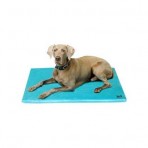 CANINE COOLER- DONT MAKE YOUR PET SLEEP ON THE FLOOR TO STAY COOL…