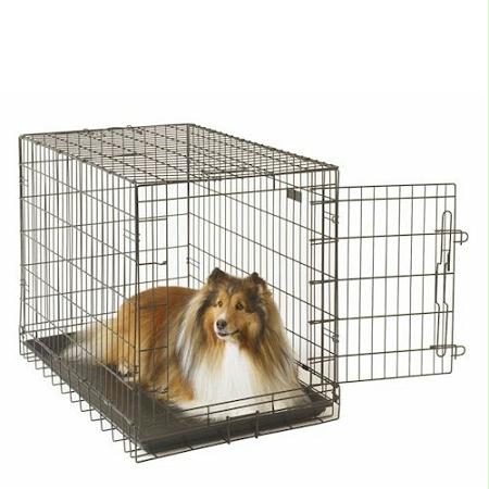 E-Crate Economy Dog Crate – Large