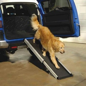 Mr. Herzher’s Smart Dog Ramp