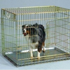Two Door Wire Dog Crate – Gold/Large