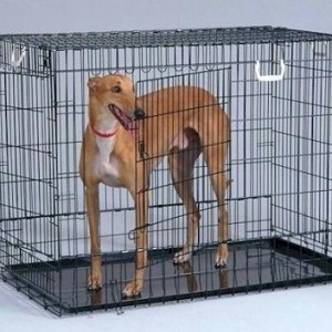 Two Door Wire Dog Crate – Black/Large