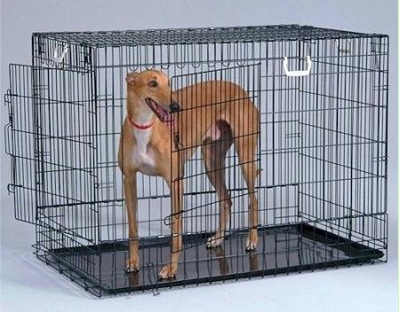 Two Door Wire Dog Crate – Black/Large