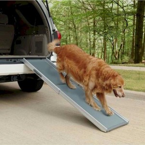 Solvit Deluxe Telescoping Dog Ramp