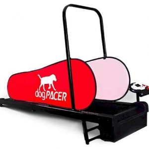 DogPacer Dog Treadmill