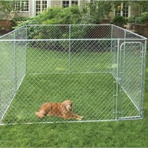 2 In 1 Dog Kennel