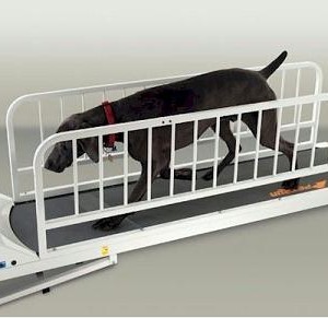 PetRun PR725 Dog Treadmill