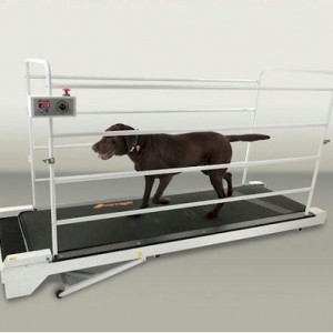 PetRun PR730 Dog Treadmill