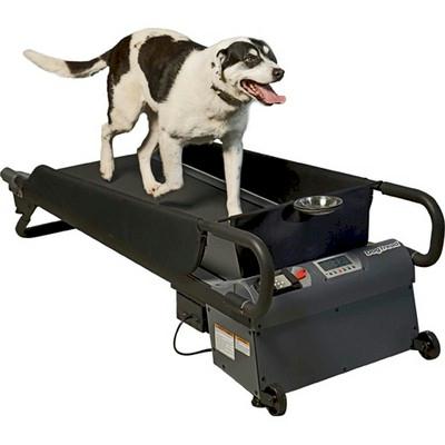 DogTread Medium Dog Treadmill – With K9 Fitness Program