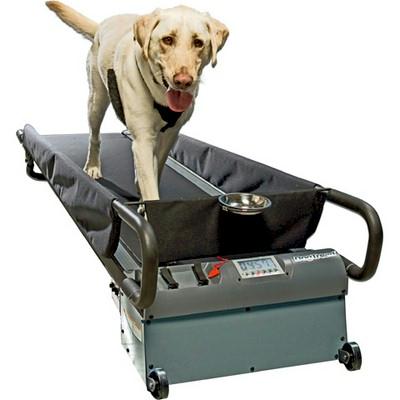 DogTread Large Dog Treadmill – Without K9 Fitness Program